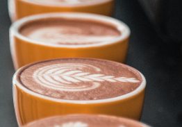 International Barista Award – SCA Barista Skills Foundation 7-8 Feb €300