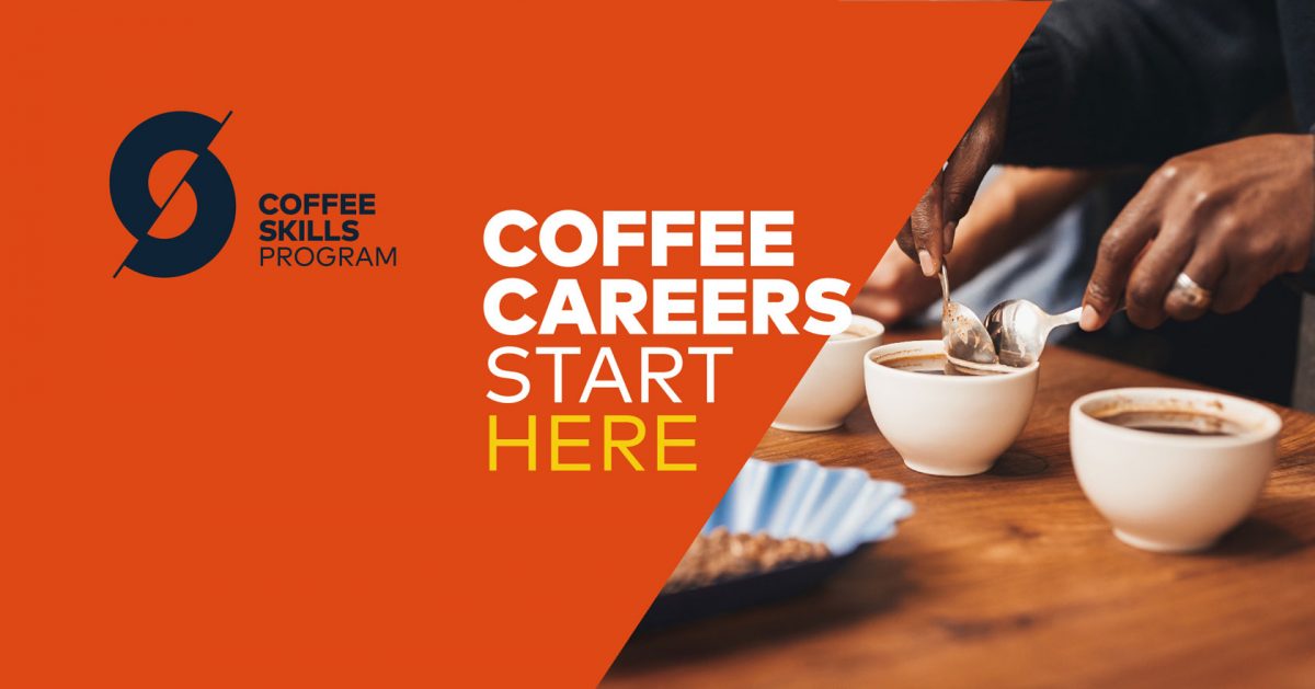 coffee career Coffee Laboratory